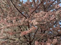 -红星美凯龙北京至尊MALL(东四环中路店)