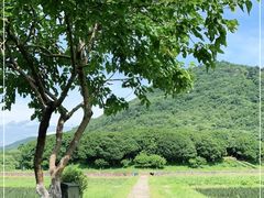 -八卦田遗址公园