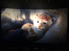 -博纳UA影城(KK Mall IMAX店)