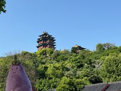 -阅江楼风景区