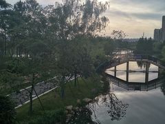 -洋湖国家湿地公园
