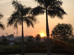 -美的鹭湖探索王国