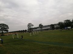 -迪茵湖田家舍生态农场