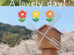 -苏州上方山国家森林公园