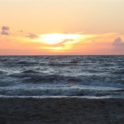 -薇兰专业脱毛连锁机构