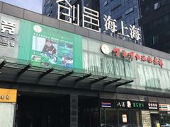 -丁俊晖台球俱乐部(海上海·弘基休闲广场店)