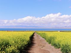 -青海湖国家重点风景名胜区