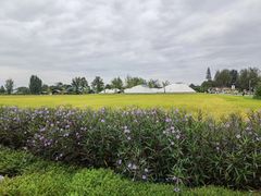 -中国天府农业博览园