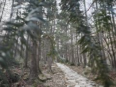 -冶父山国家森林公园