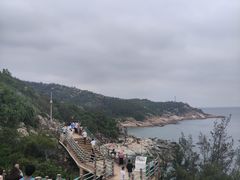 -广东惠东海龟国家级自然保护区