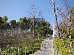 -大宁公园