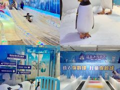 -郑州银基冰雪世界