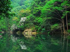 景点-青峰峡国家森林公园