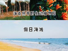 -海口火山口国家地质公园