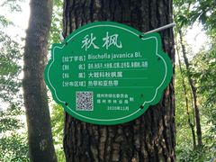 -白云山风景名胜区