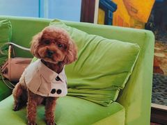 -莫内艺术岛海景咖啡