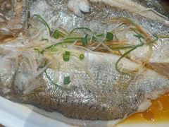 -真定郝家排骨(正定县总店)