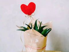 -金逸影城(中关村店)