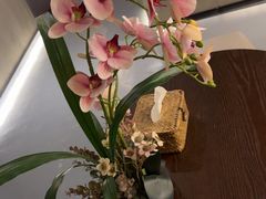 -施奈儿.洗头頭療.按摩SPA.采耳(上梅林店)