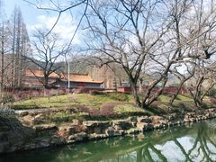 -冶父山国家森林公园