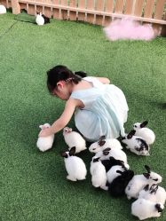 -萌宠亲子动物乐园(槐房万达店)