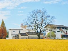 -塔川景区