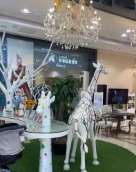 -同远QQBABY亲子摄影(北京路店)
