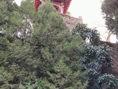 -华清宫景区
