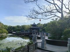 -朴园
