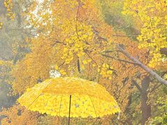 -康熙养生SPA·轻奢足道(江宁万达店)