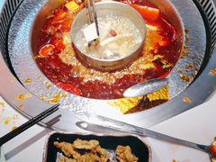 -晓宇重庆火锅(赛格国际购物中心店)