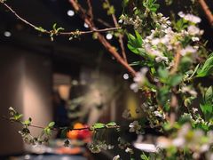 -河内西湖莲花自助餐厅