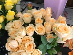 -沪花拾者(好再来花卉鲜花店)