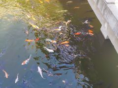 -沣峪森林公园龙潭戏水景区