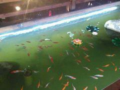 -阳春市花园酒店