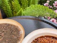 -甘婆婆醪糟汤圆