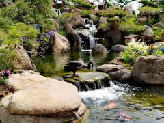 -罗红摄影艺术馆