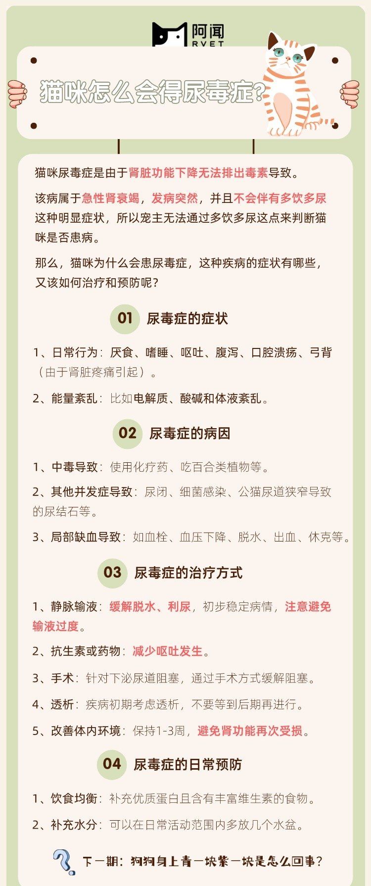 猫咪怎么会得尿毒症?
猫咪尿毒症是由