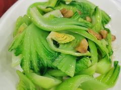 -姚林轩