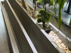-小秋水饺(大成路总店)