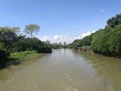 -大湾区中央湿地公园