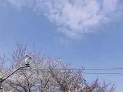 -樱苑(四川北路店)