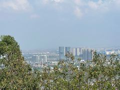-顺峰山公园