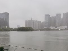 -天鹅湖体育公园