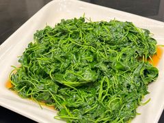 -新南华大酒店(长寿店)