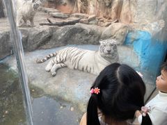 -灵玲国际马戏城