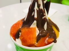 -Salud撒露欧洲冻酸奶(五道口购物中心店)