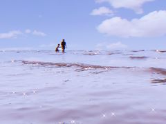 -南汇新城海滩