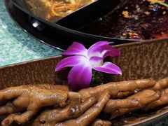 -憨铁匠老火锅(龙岗万科里店)