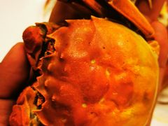 -桃源新村双台子店